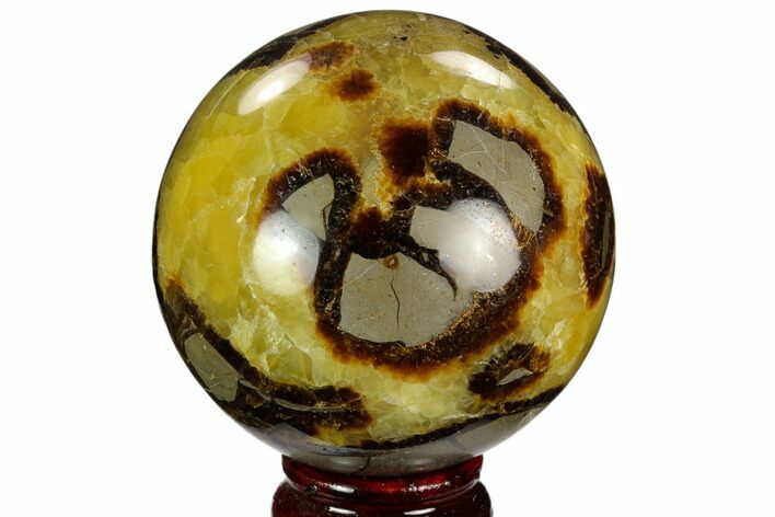 Polished Septarian Sphere - Madagascar #122921